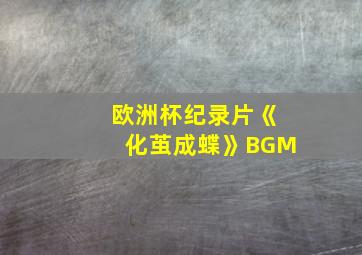 欧洲杯纪录片《化茧成蝶》BGM