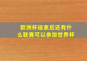 欧洲杯结束后还有什么联赛可以参加世界杯