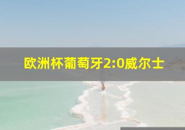 欧洲杯葡萄牙2:0威尔士