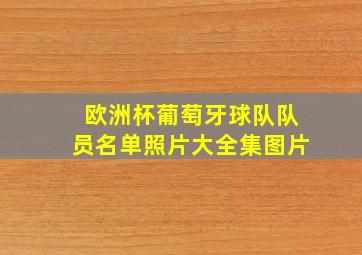 欧洲杯葡萄牙球队队员名单照片大全集图片