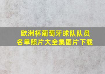 欧洲杯葡萄牙球队队员名单照片大全集图片下载