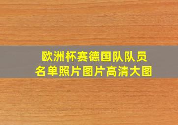 欧洲杯赛德国队队员名单照片图片高清大图