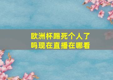 欧洲杯踢死个人了吗现在直播在哪看