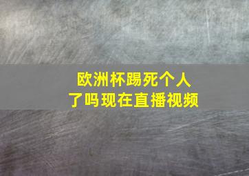 欧洲杯踢死个人了吗现在直播视频