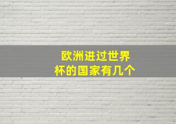 欧洲进过世界杯的国家有几个