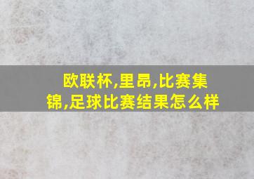 欧联杯,里昂,比赛集锦,足球比赛结果怎么样