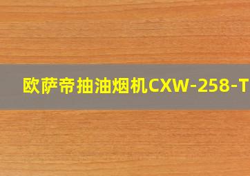 欧萨帝抽油烟机CXW-258-TC17