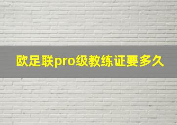 欧足联pro级教练证要多久