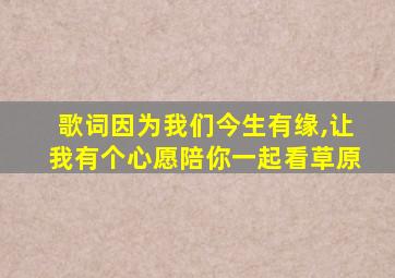 歌词因为我们今生有缘,让我有个心愿陪你一起看草原