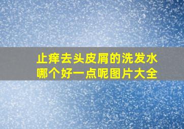 止痒去头皮屑的洗发水哪个好一点呢图片大全