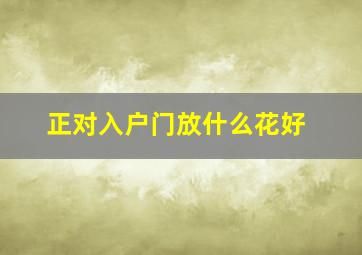 正对入户门放什么花好