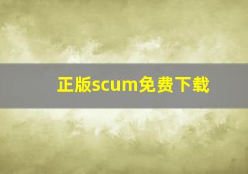 正版scum免费下载