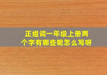 正组词一年级上册两个字有哪些呢怎么写呀