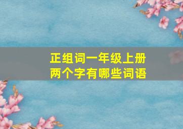 正组词一年级上册两个字有哪些词语