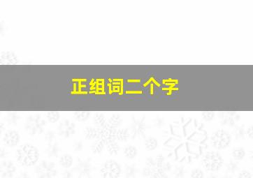 正组词二个字