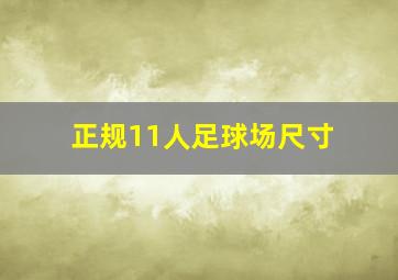 正规11人足球场尺寸