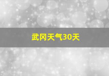 武冈天气30天