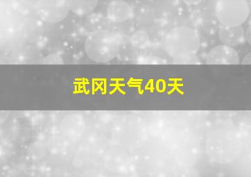 武冈天气40天