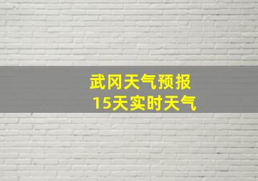 武冈天气预报15天实时天气