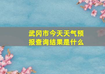 武冈市今天天气预报查询结果是什么