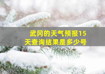 武冈的天气预报15天查询结果是多少号