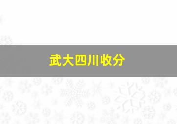 武大四川收分