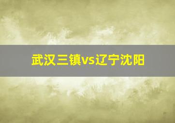 武汉三镇vs辽宁沈阳