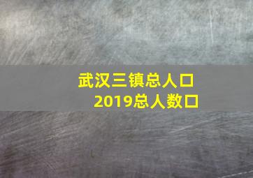 武汉三镇总人口2019总人数口