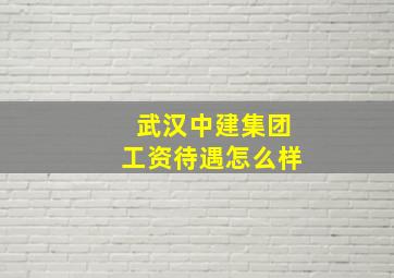 武汉中建集团工资待遇怎么样