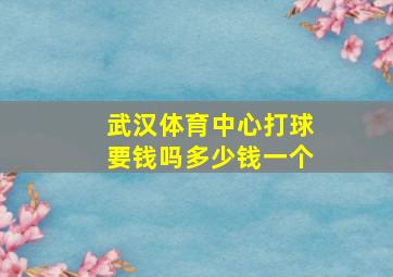 武汉体育中心打球要钱吗多少钱一个