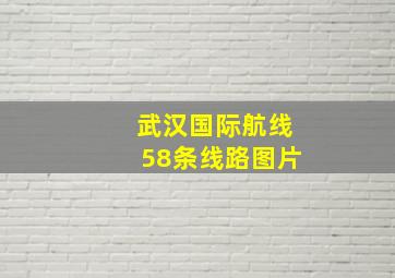 武汉国际航线58条线路图片