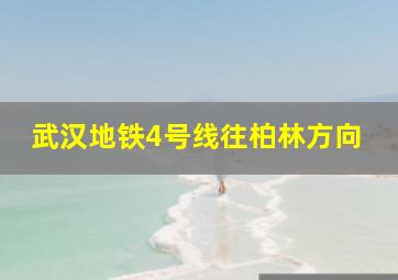 武汉地铁4号线往柏林方向