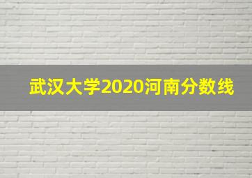 武汉大学2020河南分数线