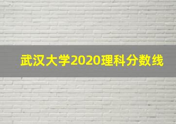 武汉大学2020理科分数线