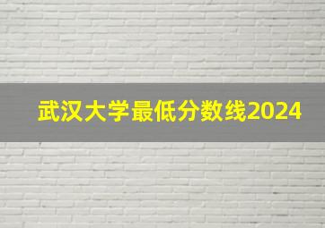 武汉大学最低分数线2024