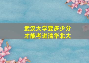 武汉大学要多少分才能考进清华北大