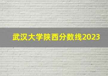 武汉大学陕西分数线2023