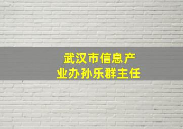 武汉市信息产业办孙乐群主任