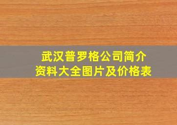 武汉普罗格公司简介资料大全图片及价格表