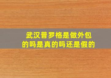 武汉普罗格是做外包的吗是真的吗还是假的