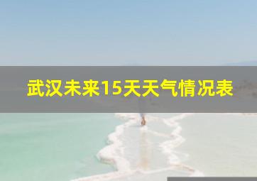 武汉未来15天天气情况表