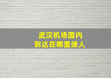 武汉机场国内到达在哪里接人