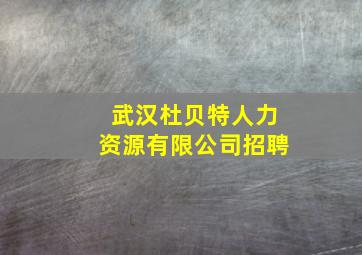 武汉杜贝特人力资源有限公司招聘