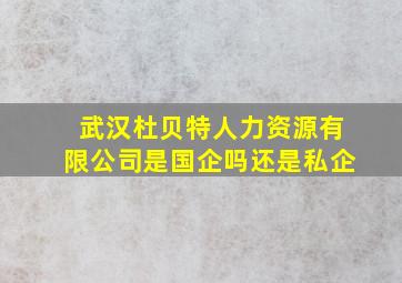 武汉杜贝特人力资源有限公司是国企吗还是私企