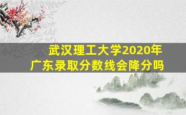 武汉理工大学2020年广东录取分数线会降分吗