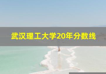 武汉理工大学20年分数线