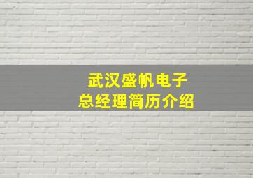 武汉盛帆电子总经理简历介绍