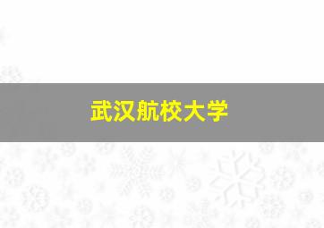 武汉航校大学