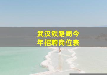 武汉铁路局今年招聘岗位表