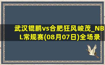 武汉锟鹏vs合肥狂风峻茂_NBL常规赛(08月07日)全场录像